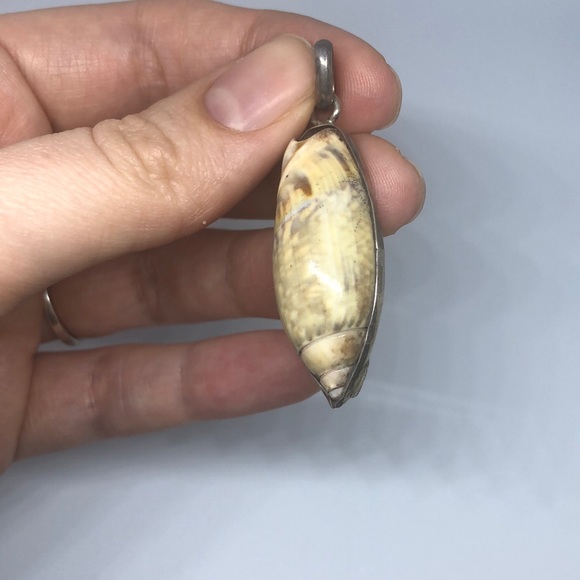 Fossil Pendant with Silver Clasp - Picture 2 of 4